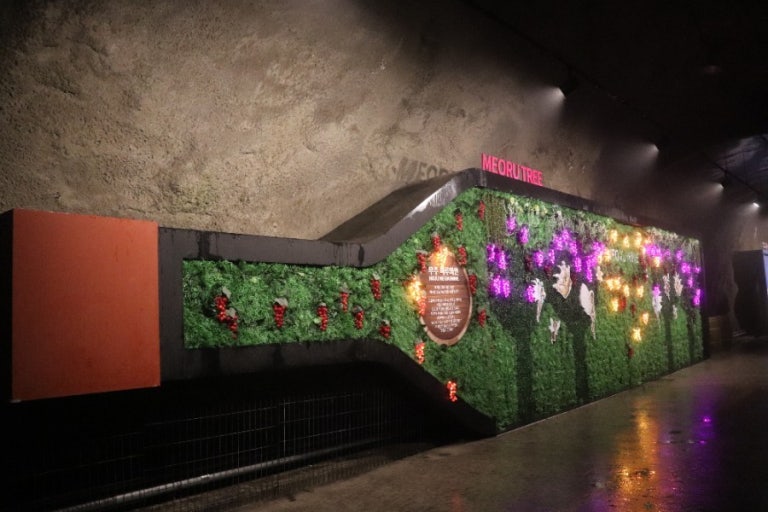 Seoul Muju One-Day Taekwondowon & Meoru Wine Cave Tour