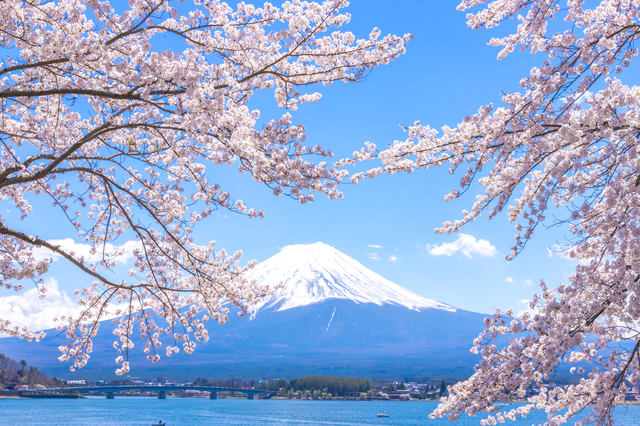 大石公園 & 富士山 & 時令水果採摘一日遊（東京出發）