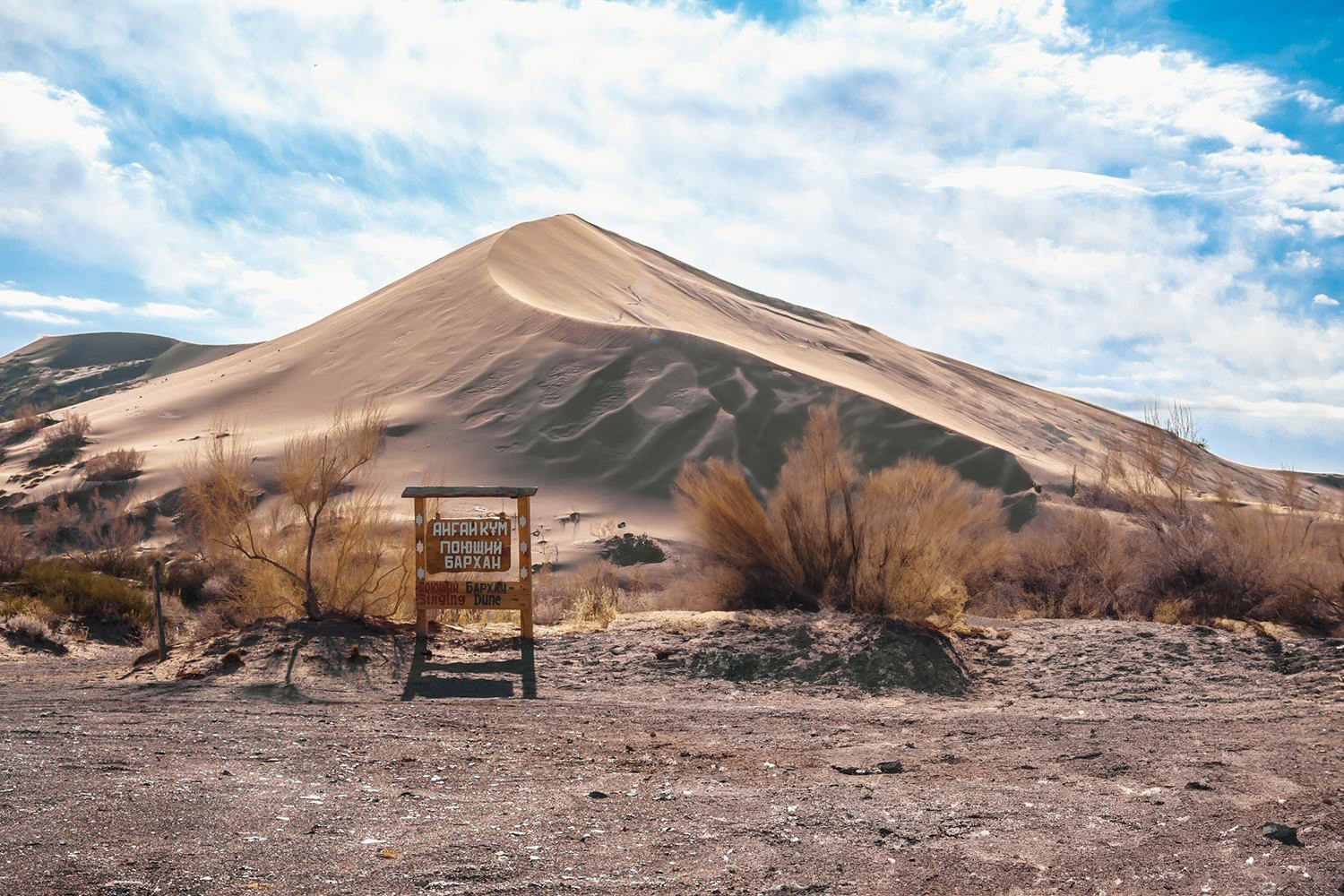 Altyn-Emel National Park: 1-Day Adventure Private Tour