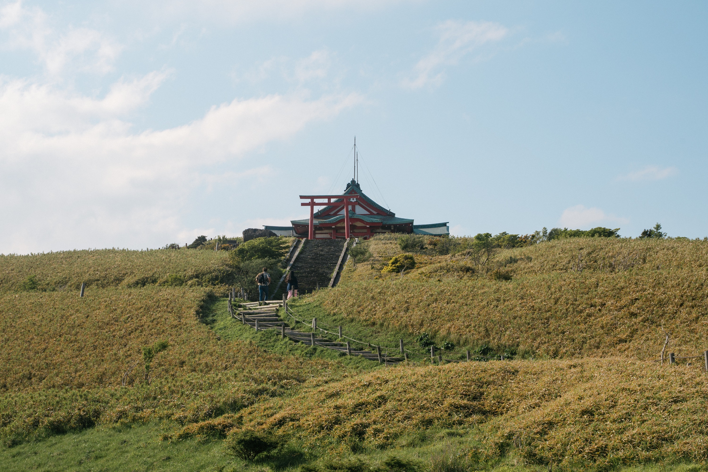 富士山＆箱根一日遊：蘆之湖＆駒岳空中纜車（東京出發）