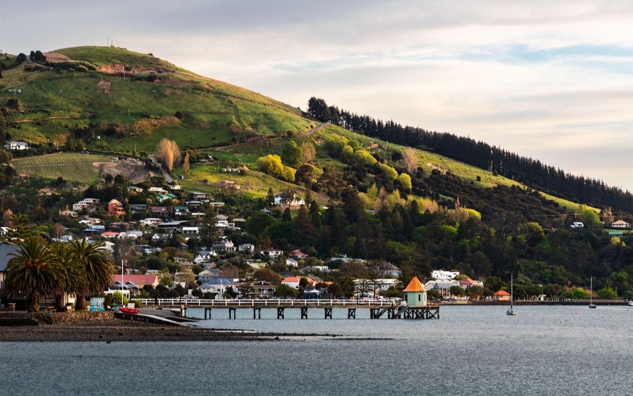 Akaroa Day Tour from Christchurch