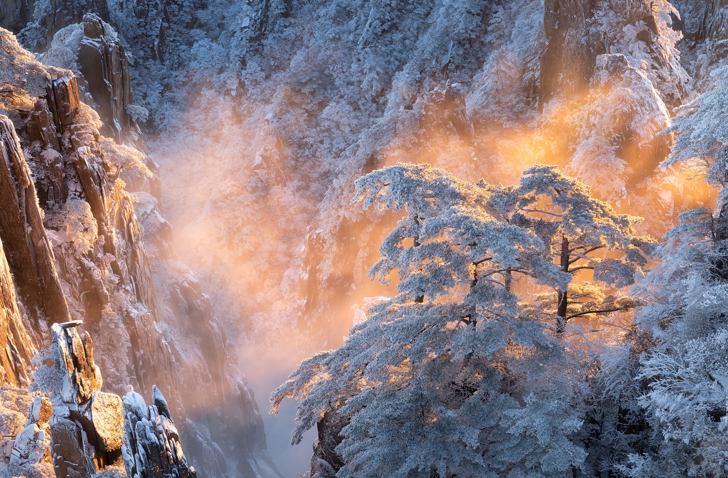 黃山雪後，銀裝素裹，奇松怪石愈顯嶙峋，雲海如凝脂，仙境凜然天成。