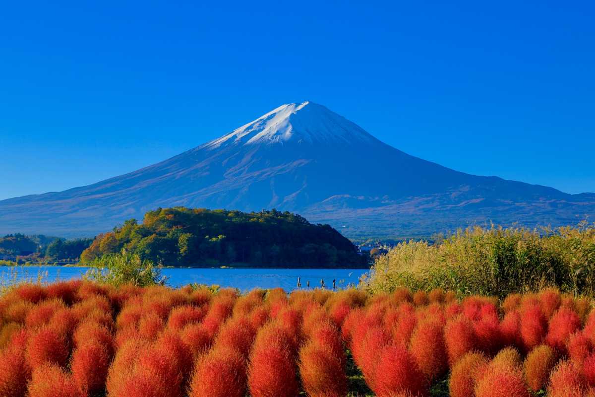 富士山私人定製一日遊（東京出發）