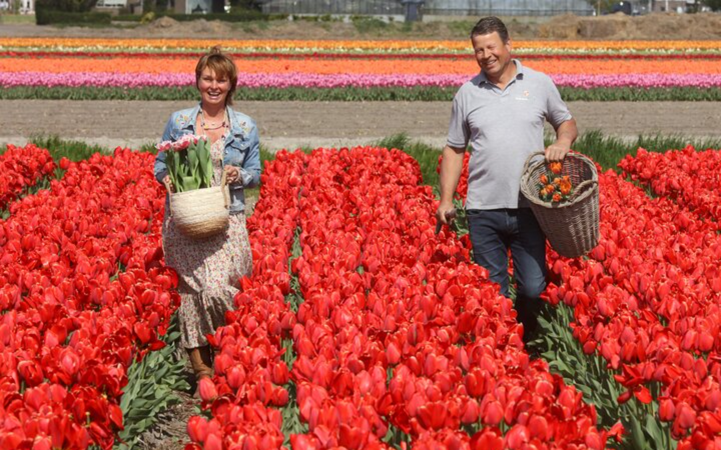 遊客們在庫肯霍夫花園鬱鬱蔥蔥的花卉展覽中悠閒漫步 遊客們在庫肯霍夫花園鬱鬱蔥蔥的花卉展覽中悠閒漫步