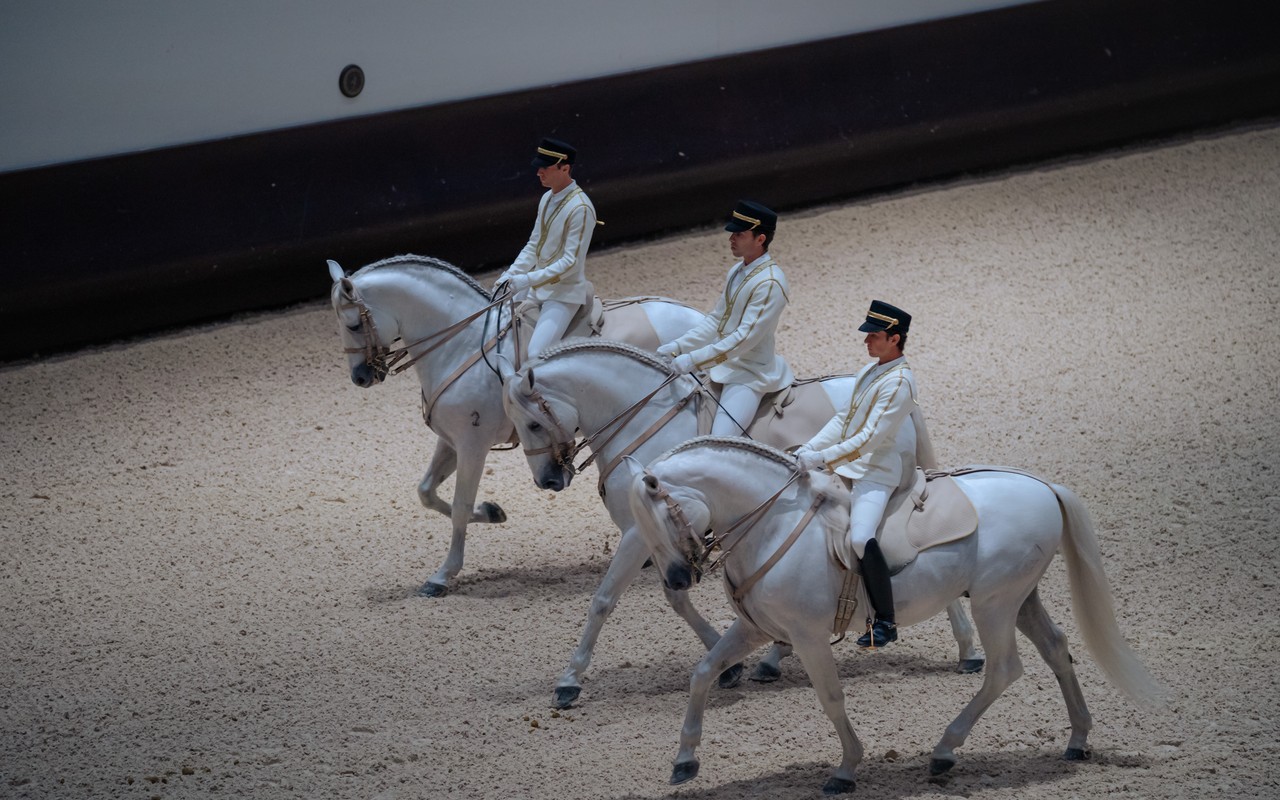 Witnessing the incredible precision and synchronized grace of these white horses