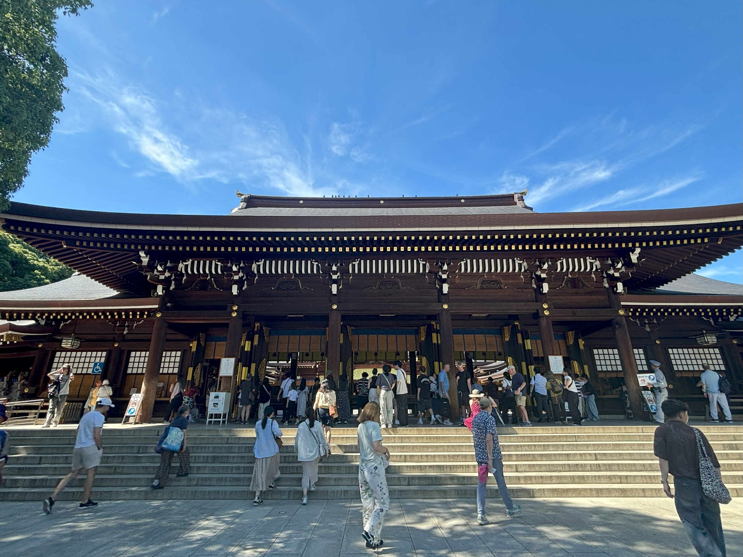 Meiji Jingu Shrine & Takeshita Street Half-day Guided & Walking Tour