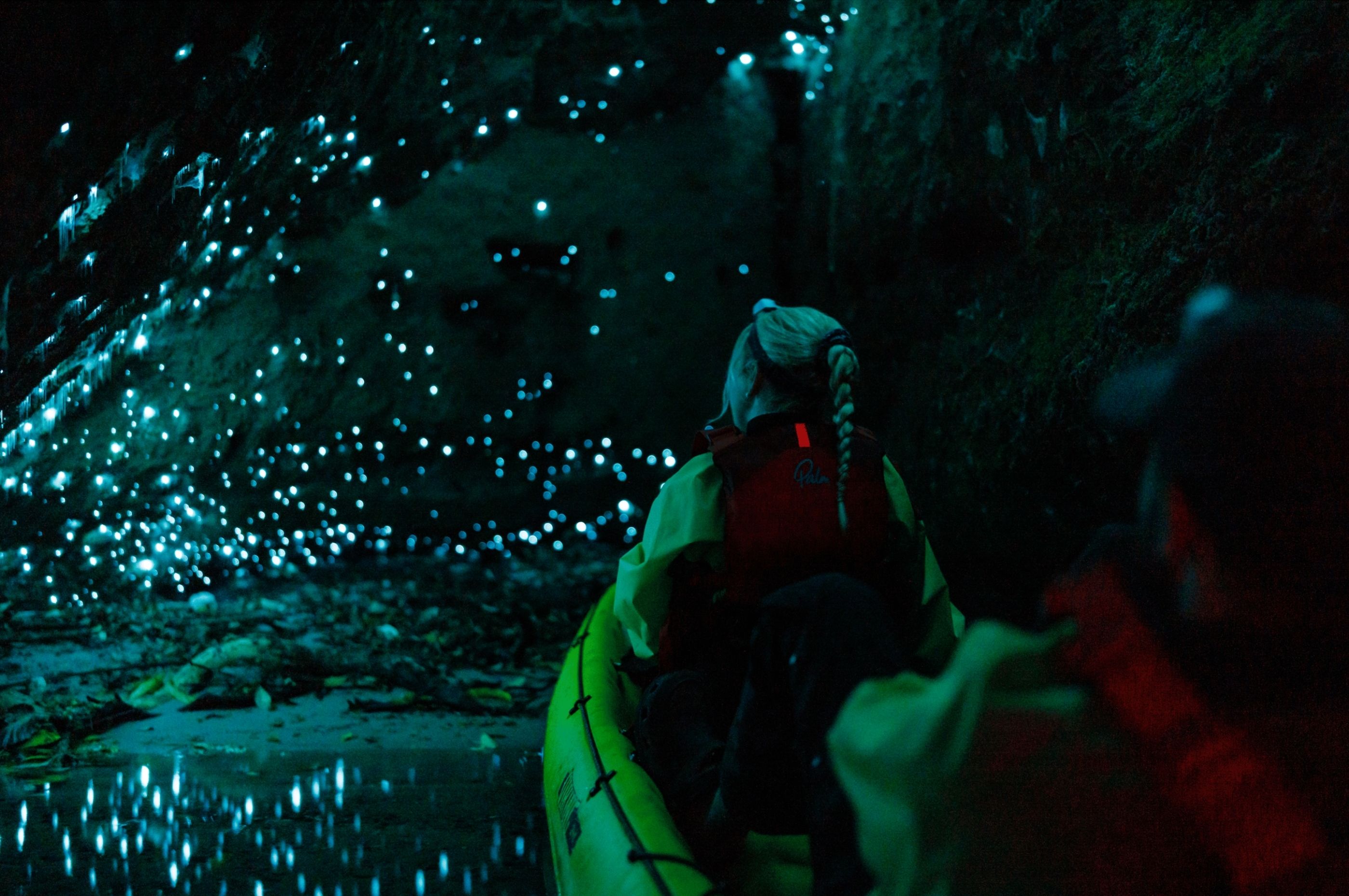 在羅托魯瓦的螢火蟲洞穴中划獨木舟，螢火蟲點亮洞穴牆壁和周圍水域。