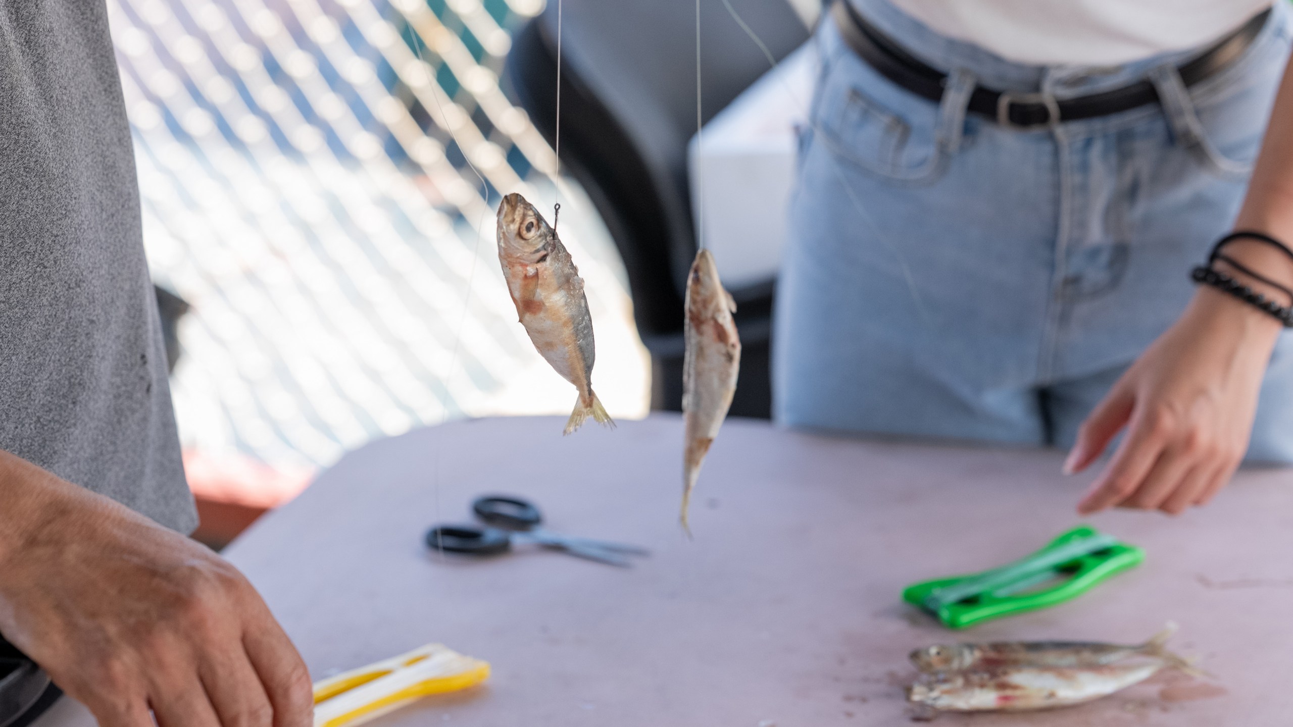 參加手釣小學堂