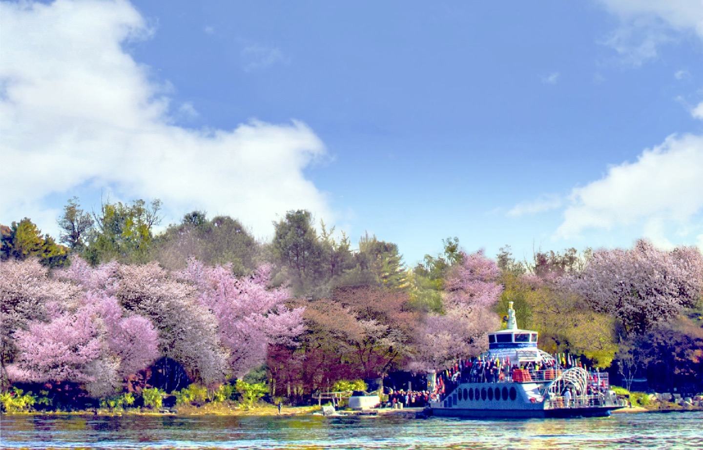 羊駝牧場 / 南怡島 / 江村鐵路自行車 / 晨靜樹木園 / 樂高樂園 /  秋海棠鳥園