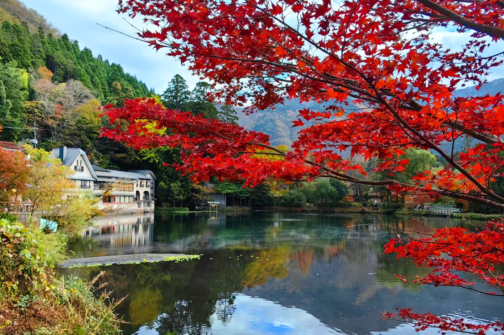 金鱗湖：因湖中魚群在夕陽下鱗片反射出金色光芒，被儒學家毛利空桑命名為“金鱗湖”，原名“嶽本之池”。湖水受地熱溫泉水加熱，冬季水溫保持在13-15℃，清晨氣溫較低時，湖面會升起嫋嫋白霧，如夢似幻。