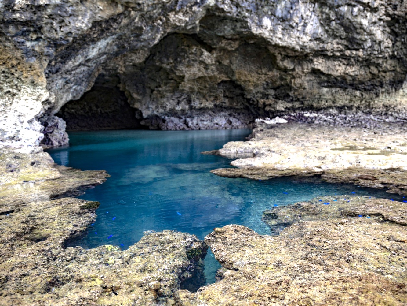 Ishigaki Island/1 day Kabira Bay SUP/Canoe & Blue Cave Snorkeling Experience (Okinawa)