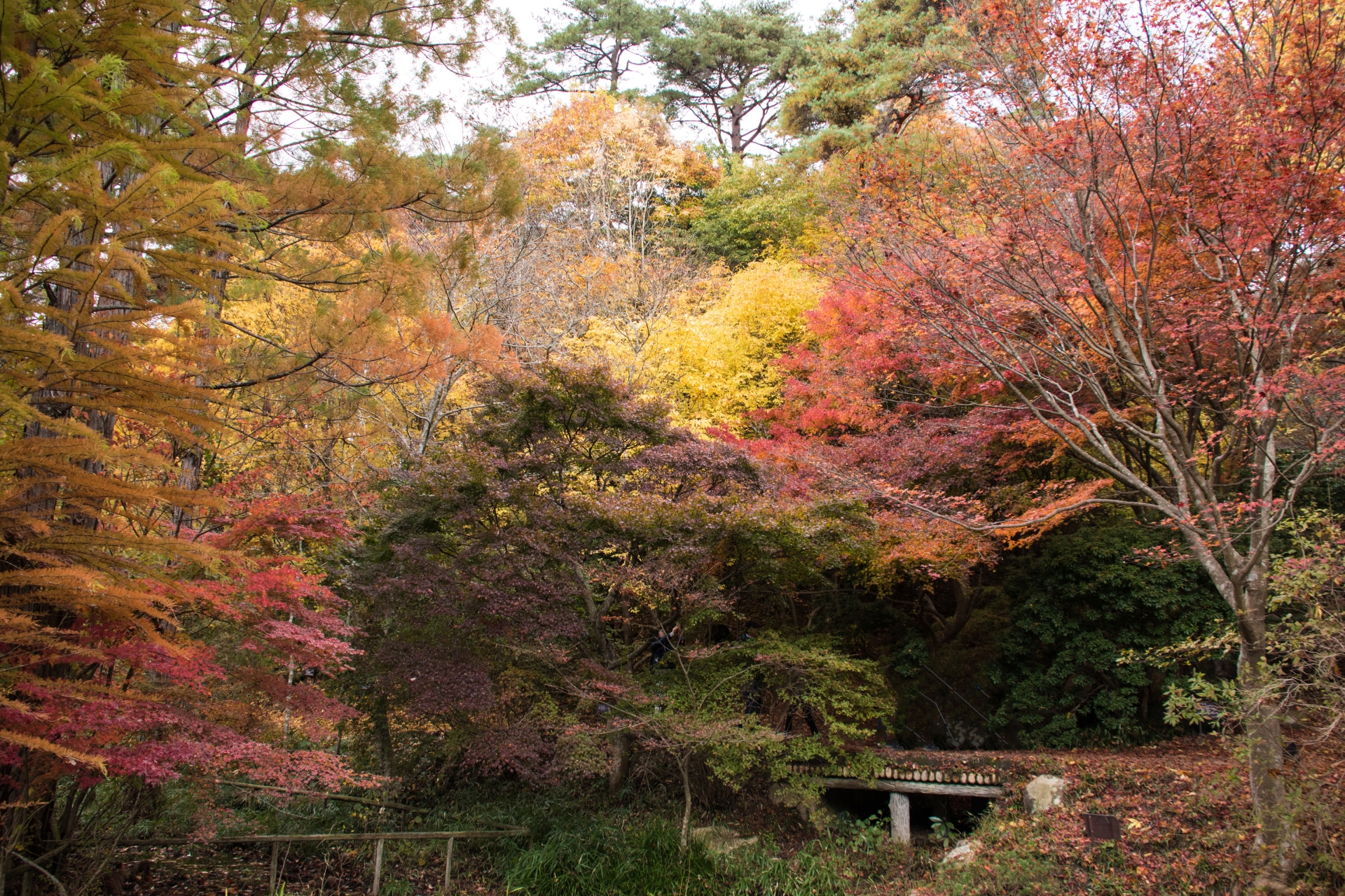 Kyoto: Immersive Arashiyama and Fushimi Inari by private vehicle