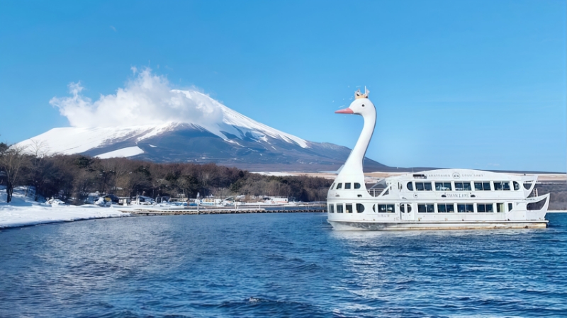 富士山六景賞花拍照或富士山雙湖自然體驗一日遊｜東京出發