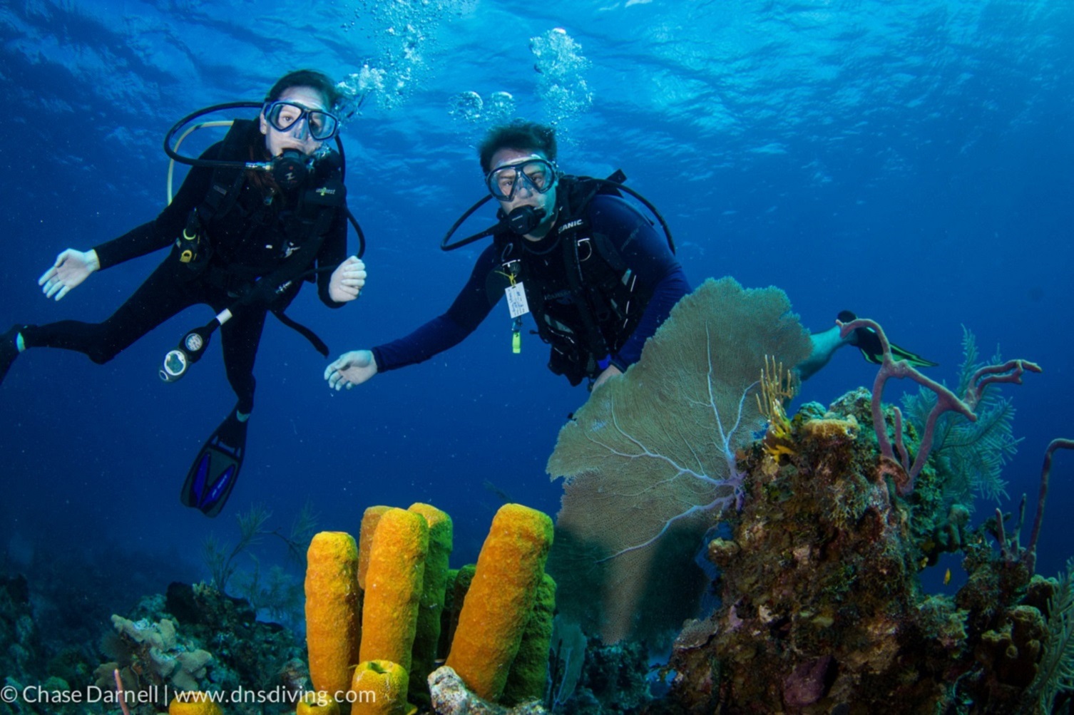 初學者水肺潛水探險之旅 & 午餐 & 接送 - 夏姆埃爾謝赫
