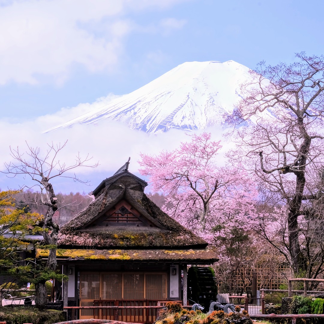 富士山壯麗美景一日遊（東京出發）
