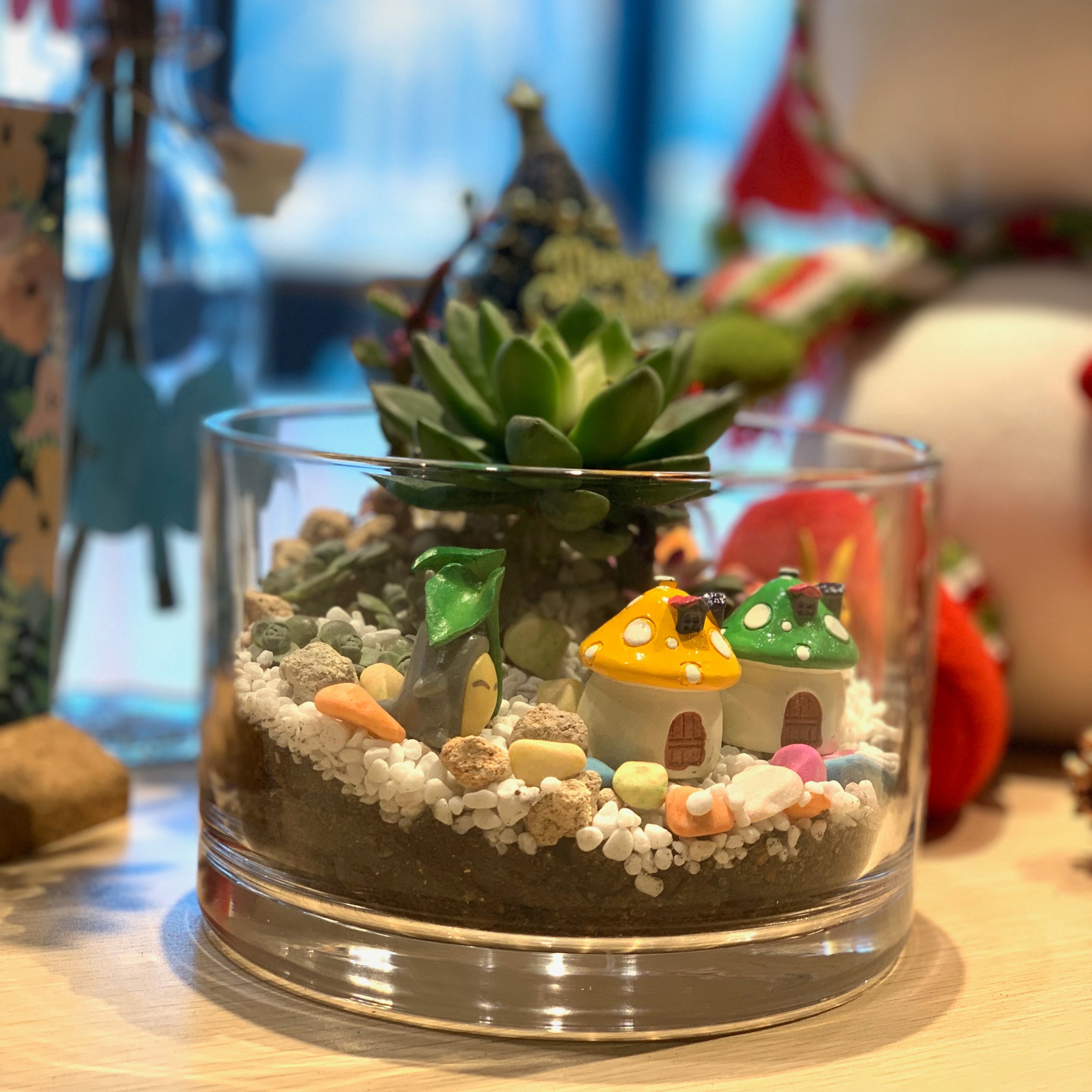 Experience workshop / gift: : glass succulent bonsai experience