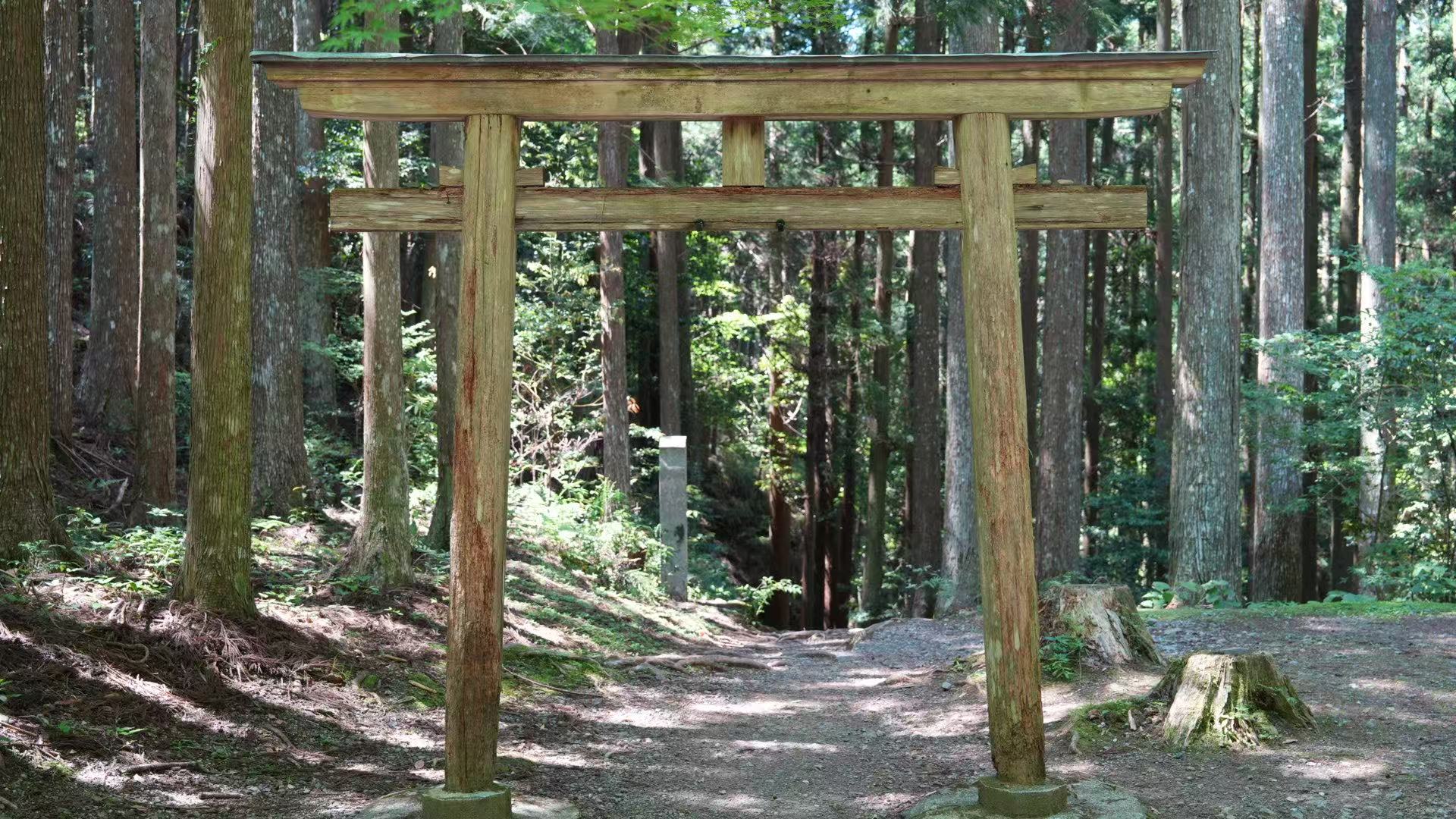 Kansai Minor Hidden Gems Day Trip: Awaji Island/Mount Koya/Kumano Kodo - Choose One, Depart from Osaka Shinsaibashi