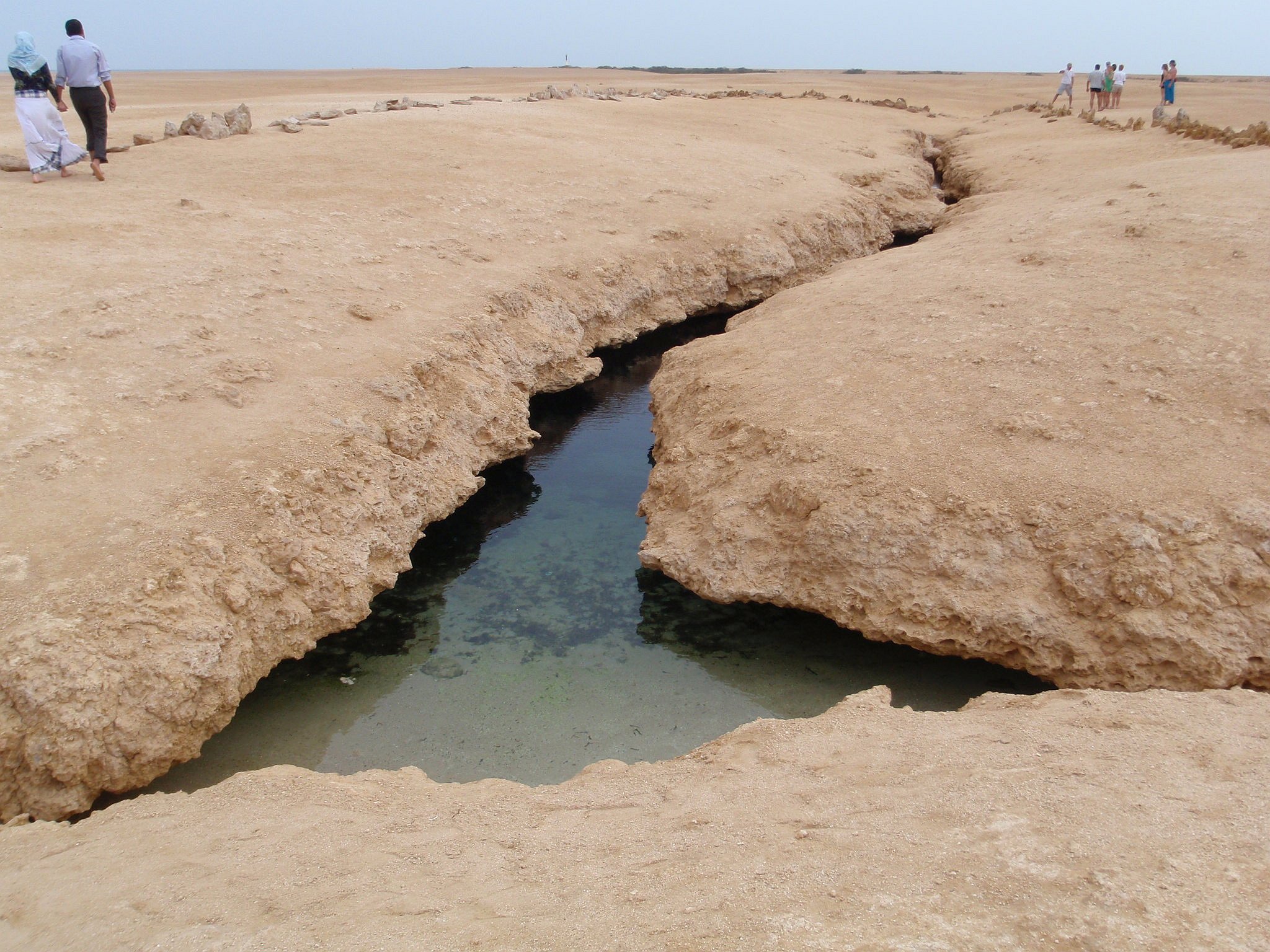 拉斯穆罕默德國家公園半日巴士之旅 - 沙姆沙伊赫 拉斯穆罕默德國家公園半日巴士之旅 - 沙姆沙伊赫