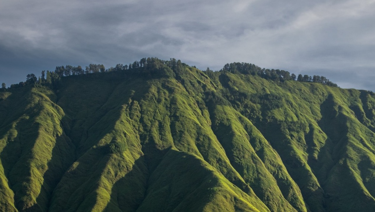 Selong hill