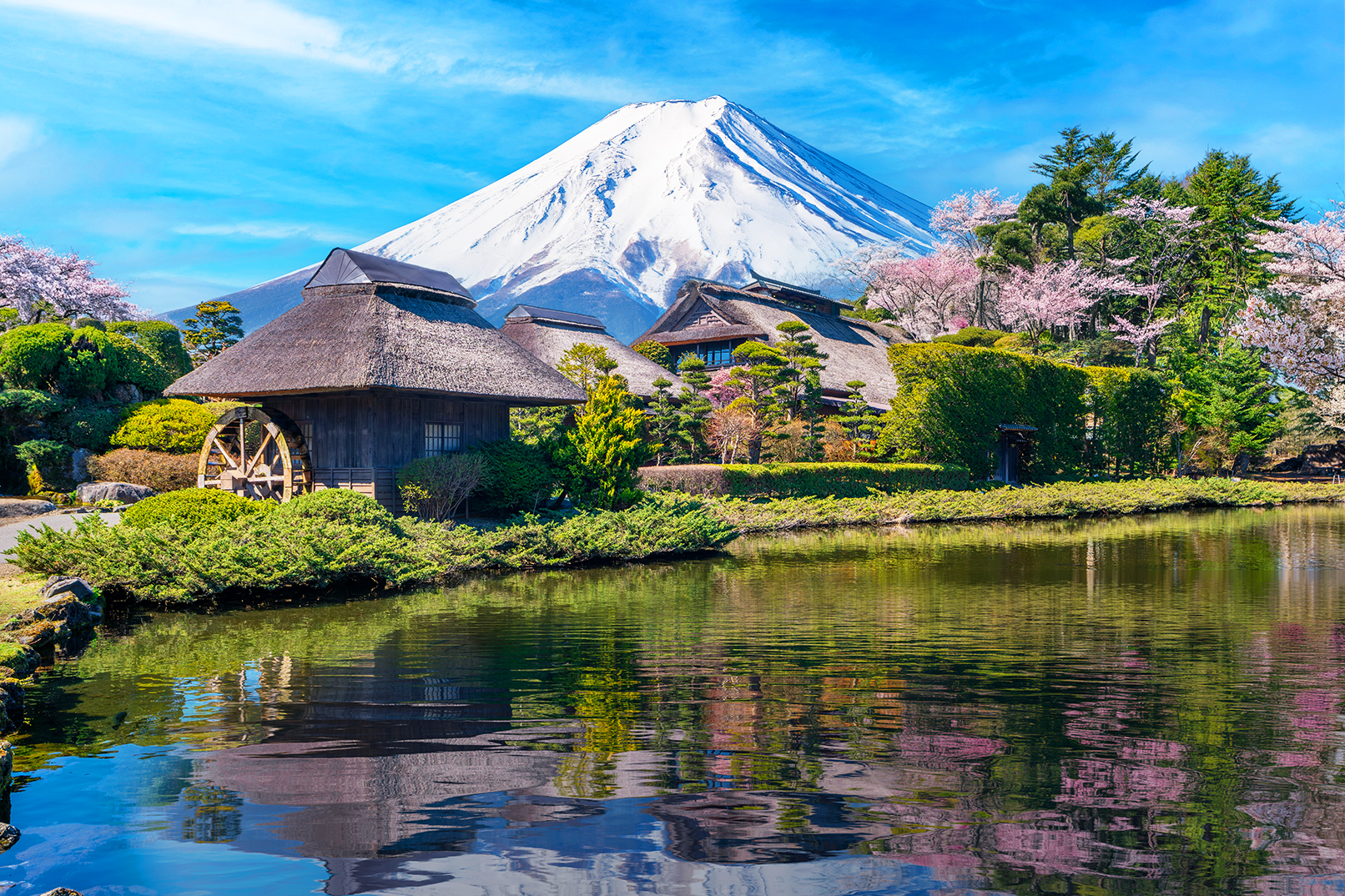 富士山探索之旅-新倉山淺間公園·天梯小鎮·忍野八海·河口湖大石公園·西湖療愈里根場一日遊