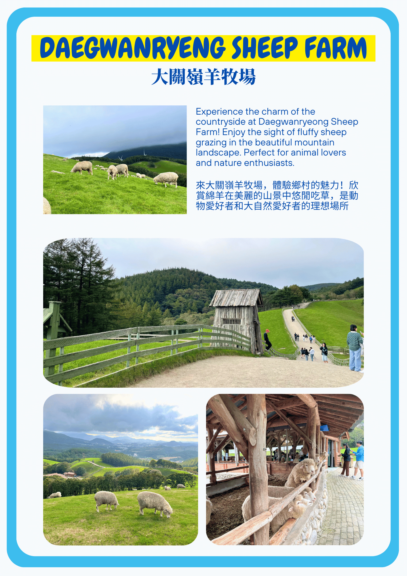 BTS 公交車站打卡 & 韓劇《鬼怪》拍攝地 & 洛山寺 & 羊駝世界