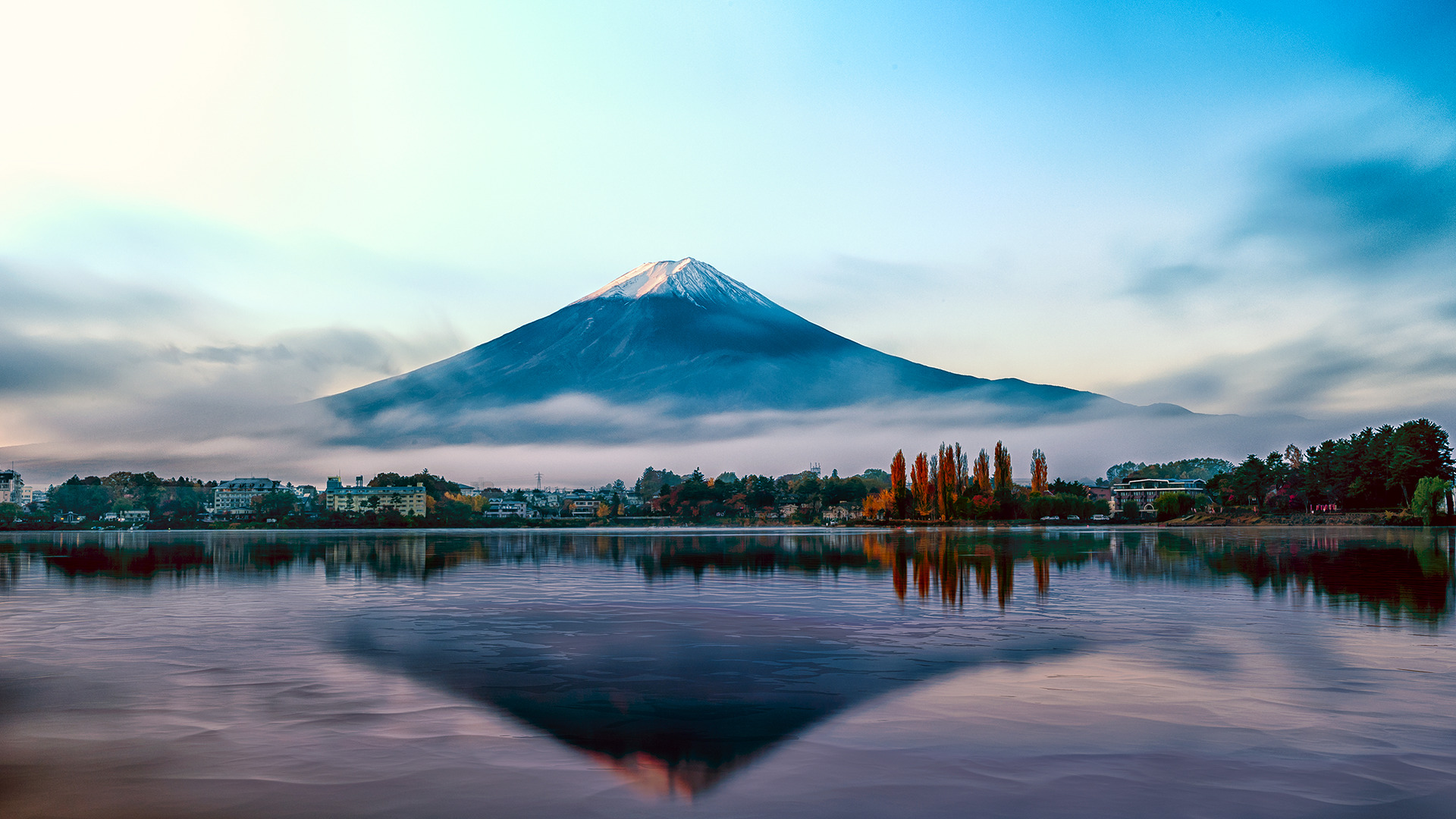 春櫻秋葉，河口湖大石公園一年四季都不會讓人失望！