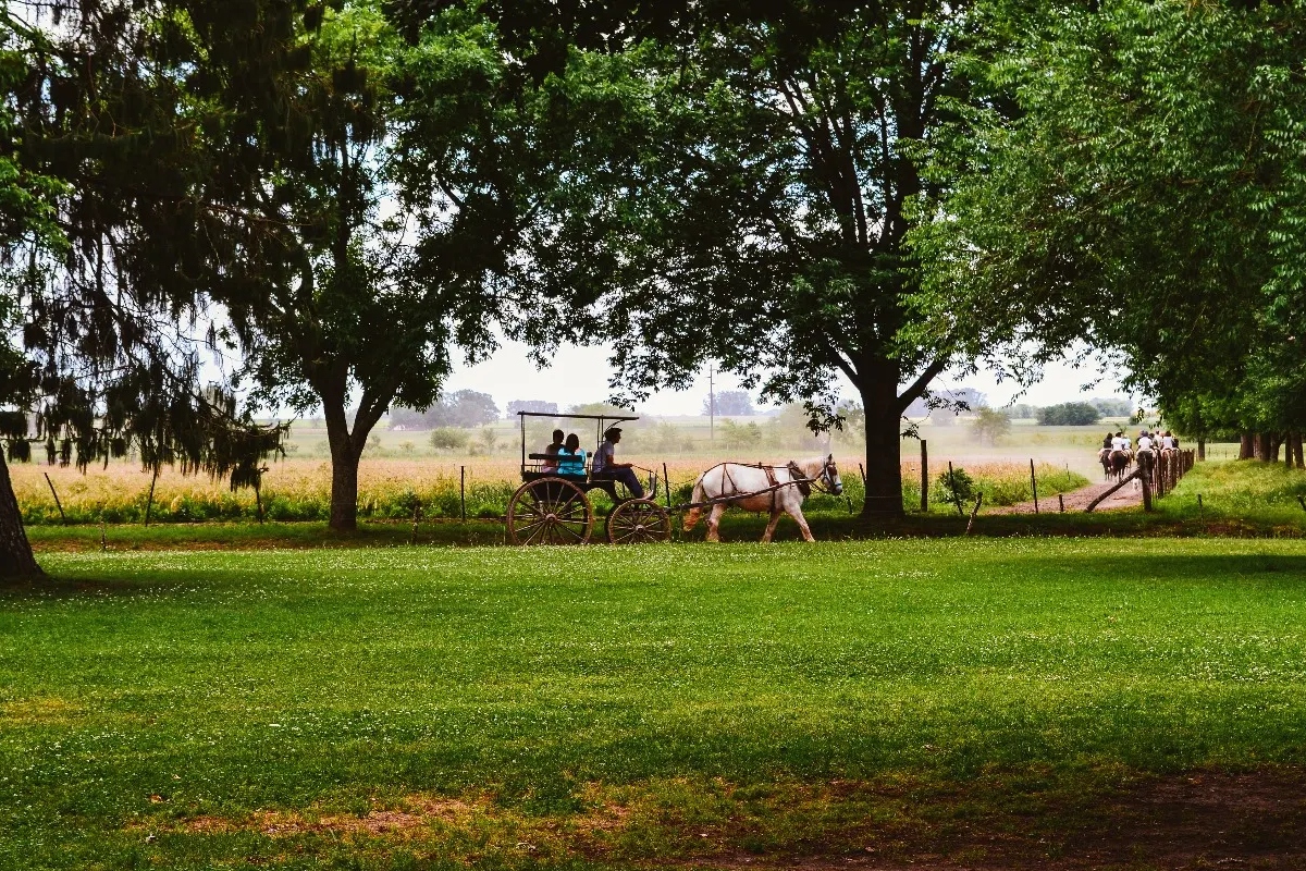 Gaucho Farm Tour in San Antonio de Areco from Buenos Aires