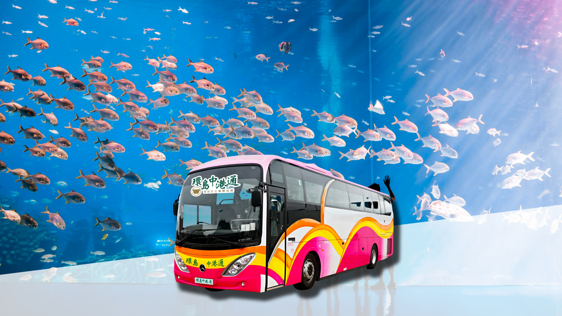 香港 - 珠海長隆企鵝酒店直通巴士Open票（環島中港通提供）