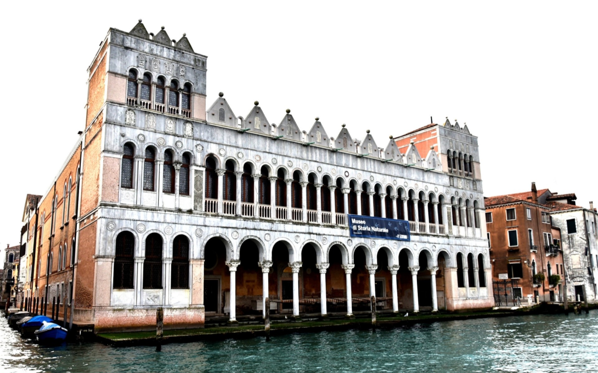 Natural History Museum Ticket in Venice