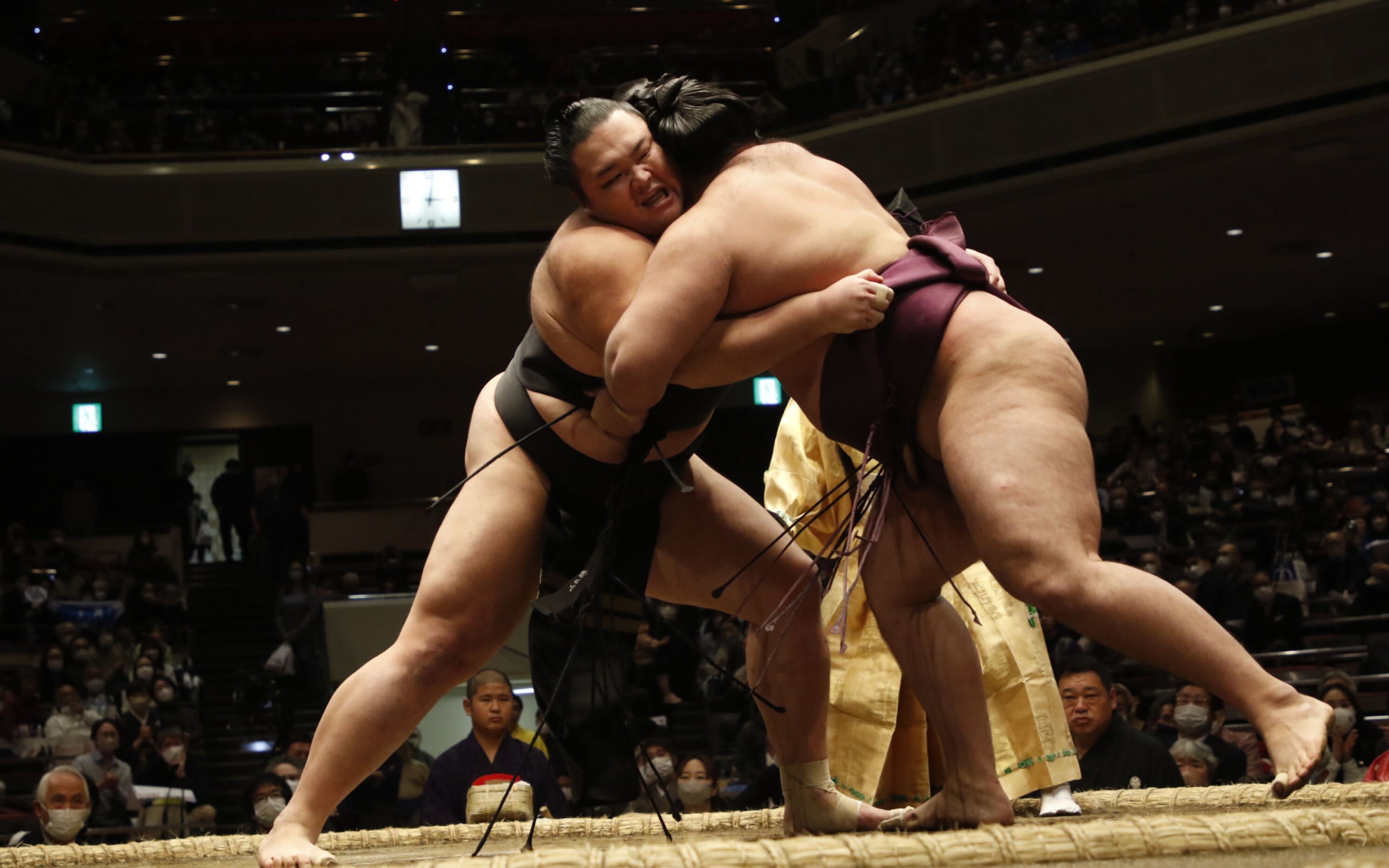 2026 Spring Sumo Provincial Tour Viewing