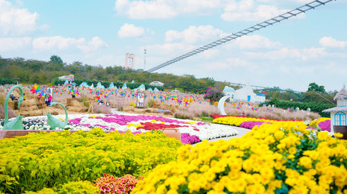 漫花莊園