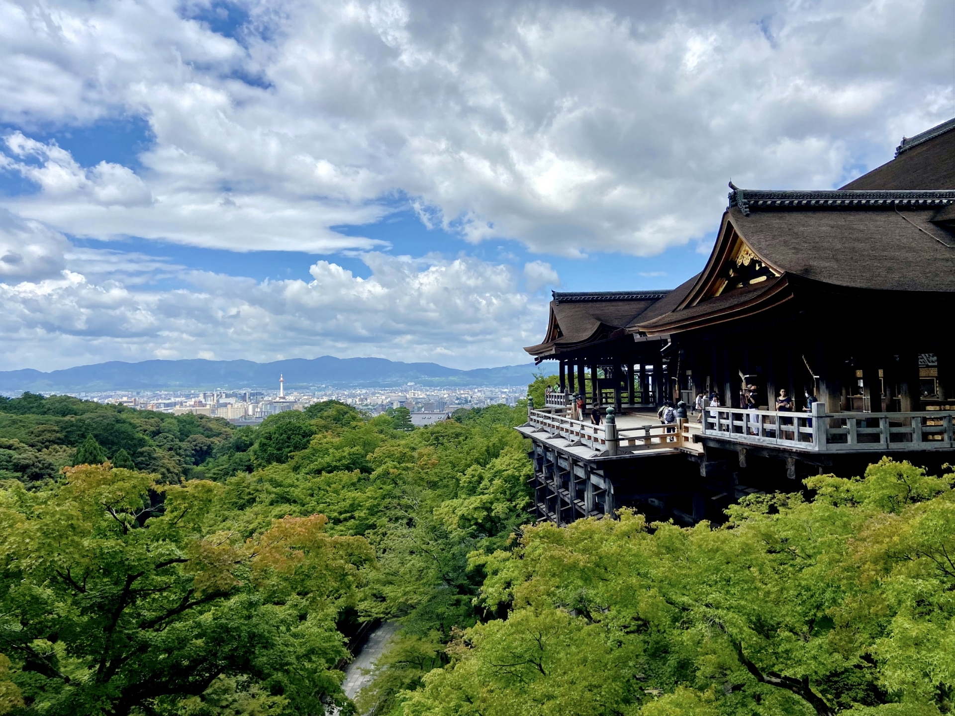 Kyoto Cultural Heritage Day Tour｜Kinkaku-ji Temple, Arashiyama, Sanjusangendo Temple, and Kiyomizu-dera Temple｜Optional Kobe Beef Shabu-shabu Lunch (Departing from Osaka and Kyoto)