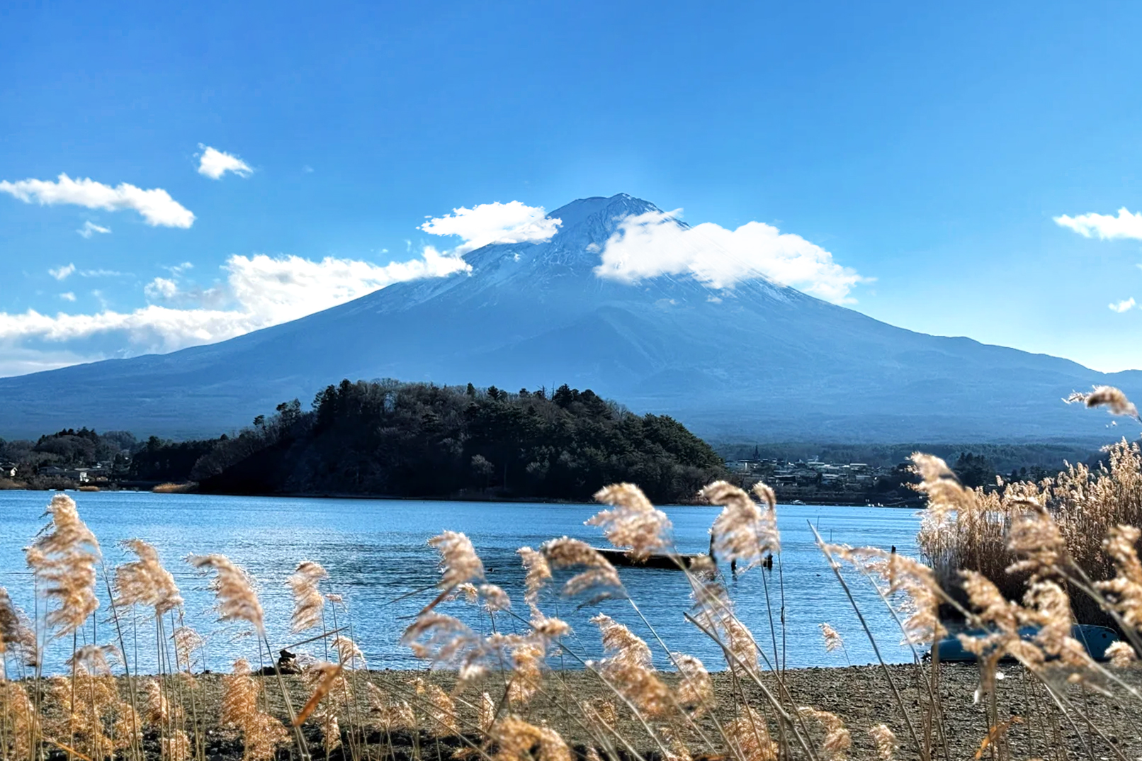 河口湖大石公園 河口湖大石公園
