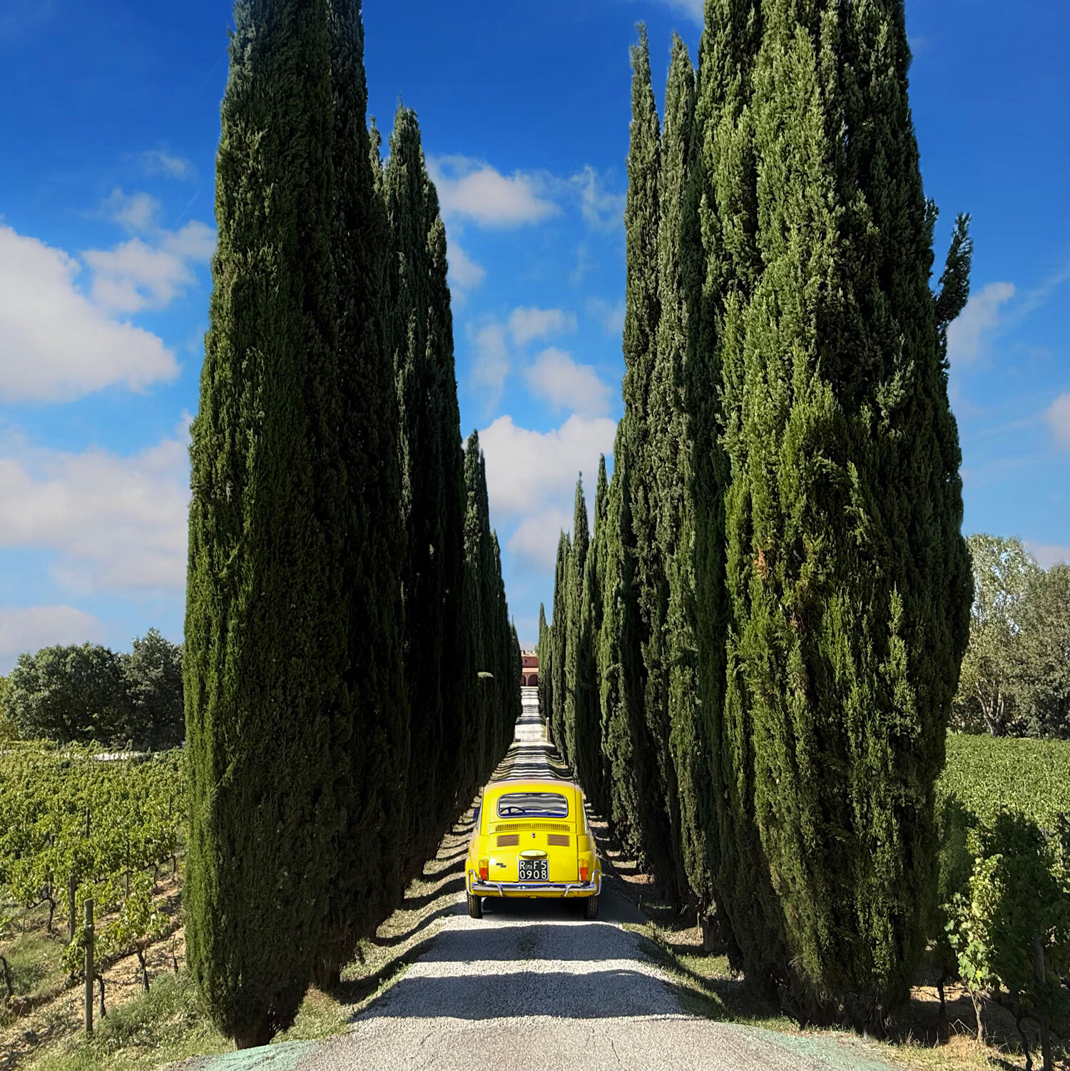 [Korean Guide] 100% Guaranteed Departure! [Florence Central Station to Rome] Civita Toscana Winery Cypress