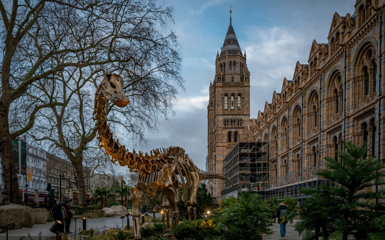 探索具代表性的藍鯨骨骸，以及在 Hintze Hall 中迴盪的故事。