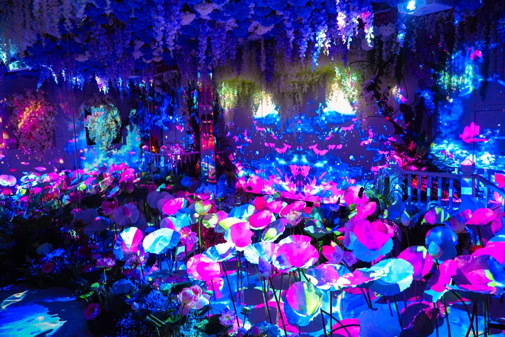 完美拍照點 – 每個區域都精心設計，讓您拍出驚艷美照