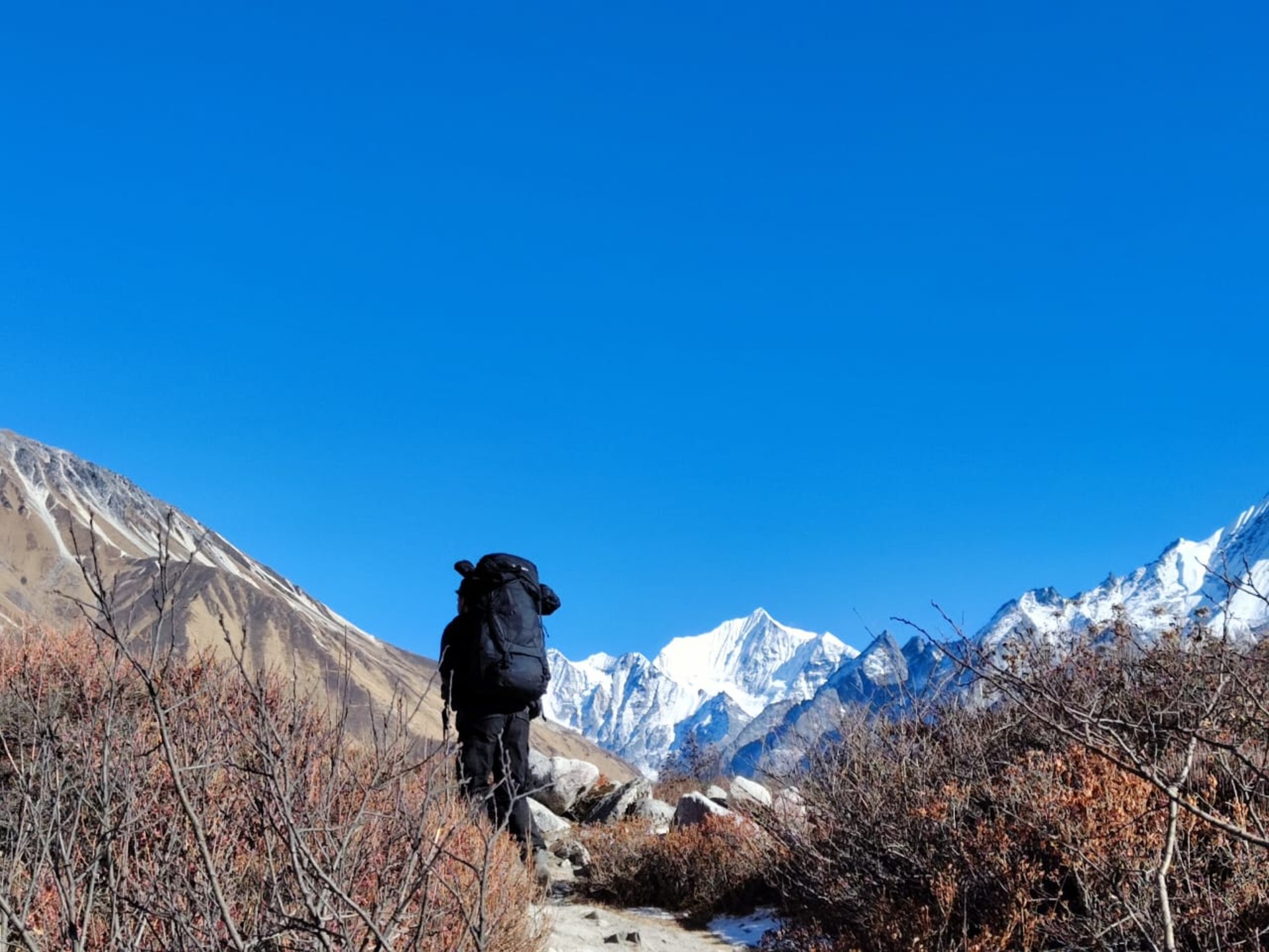 加德滿都：6天朗塘無限次徒步之旅（導遊）