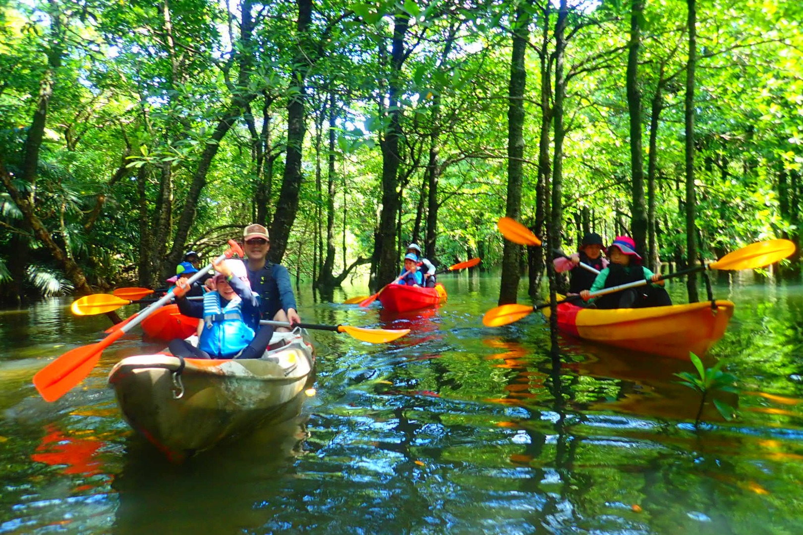 Okinawa Iriomote Island Splash Canyoning And Sup Or Canoe At Mangrove Forest Live Japan Japanese Travel Sightseeing And Experience Guide