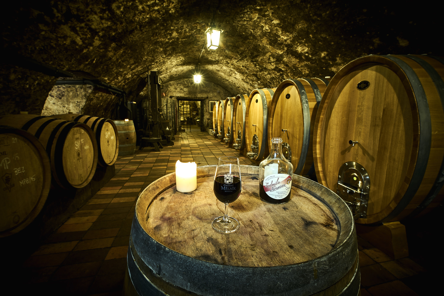 Bohemia Vineyards & Gastronomy Full-Day Private Tour