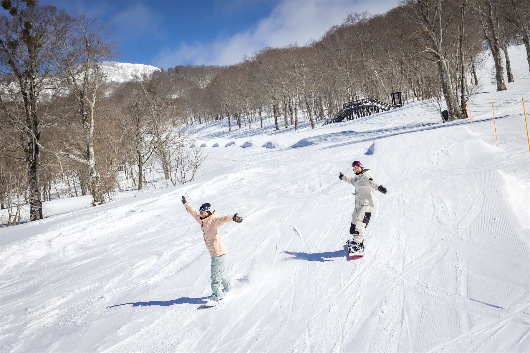 Pure White Snowscape: Gunma Tambara Ski Day Trip from Tokyo | Private Car Transfer | Beginner Friendly | Unlimited Fun at the Ski Resort