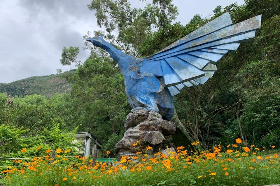 南投｜鳳凰谷鳥園生態園區｜門票