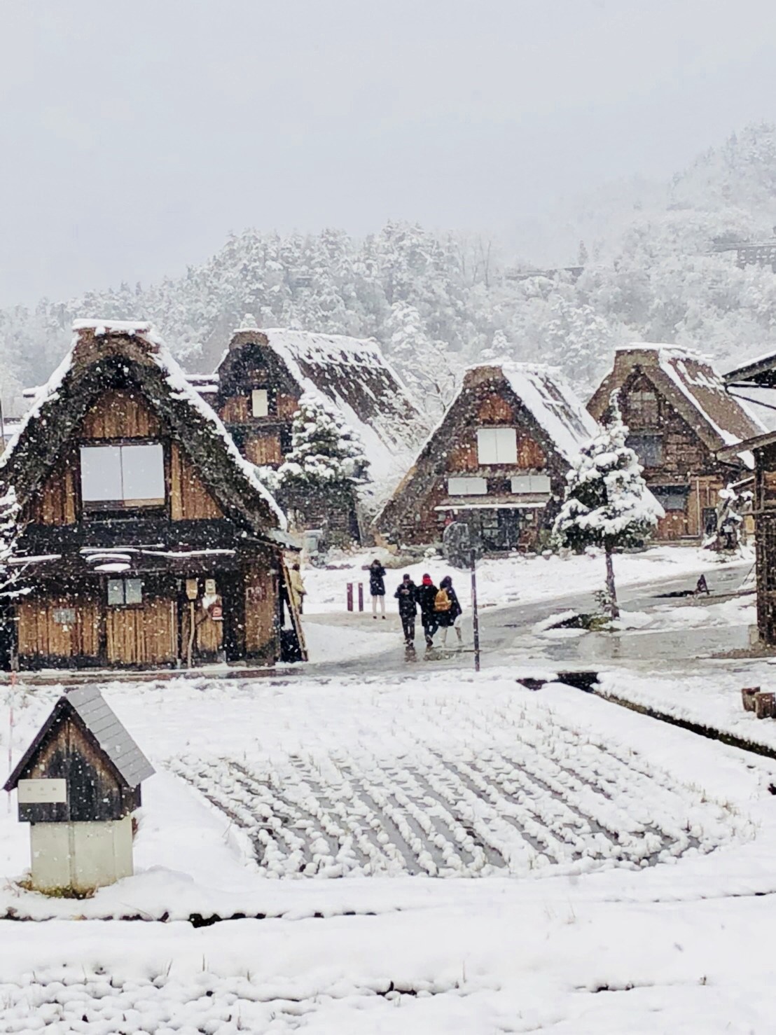 2024 Shirakawa-go winter illumination and Hida Takayama day trip bus tour (departing from Nagoya)