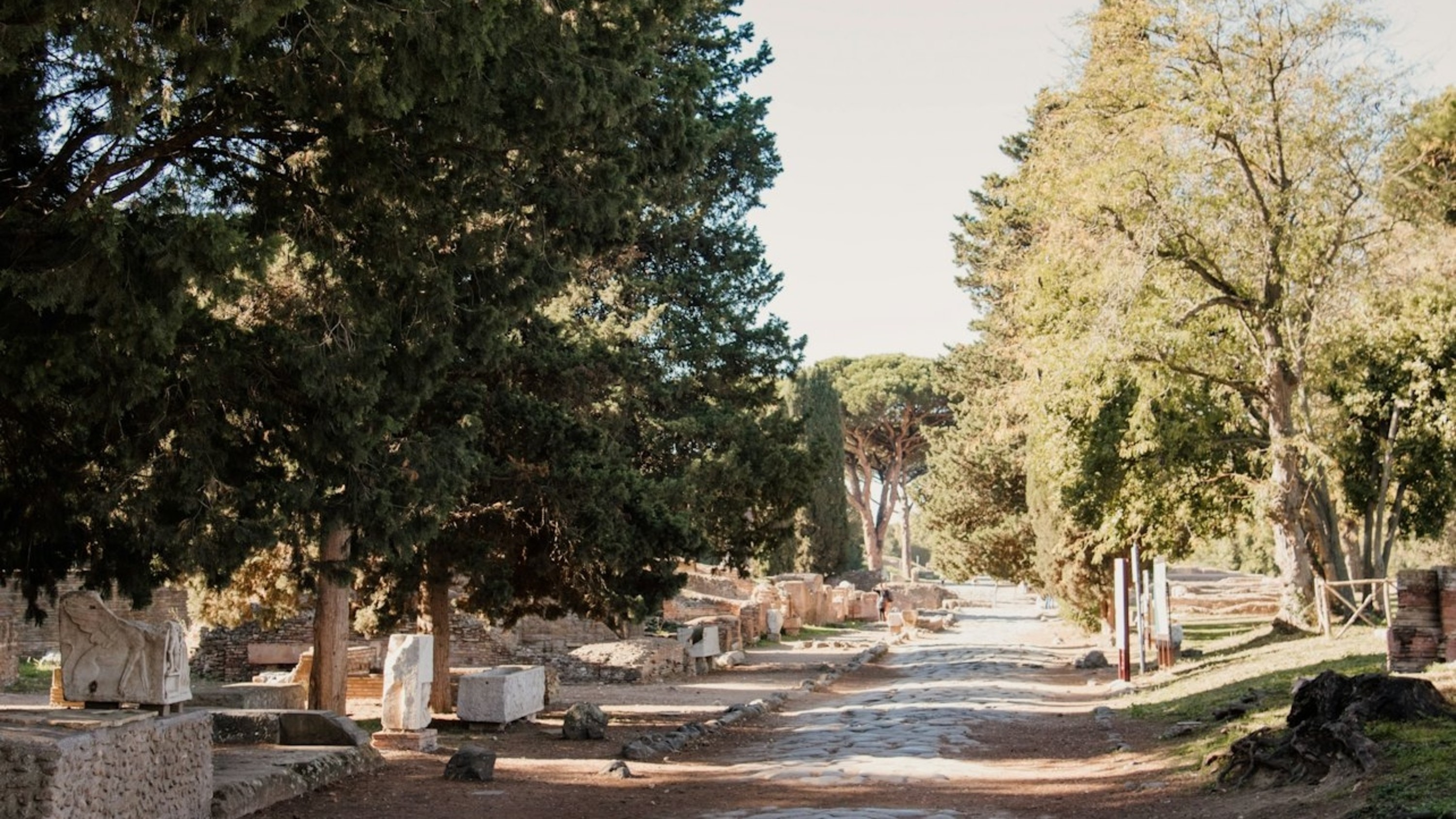 Stone pathway winding through tall trees, offering a peaceful walk amid ancient Roman ruins