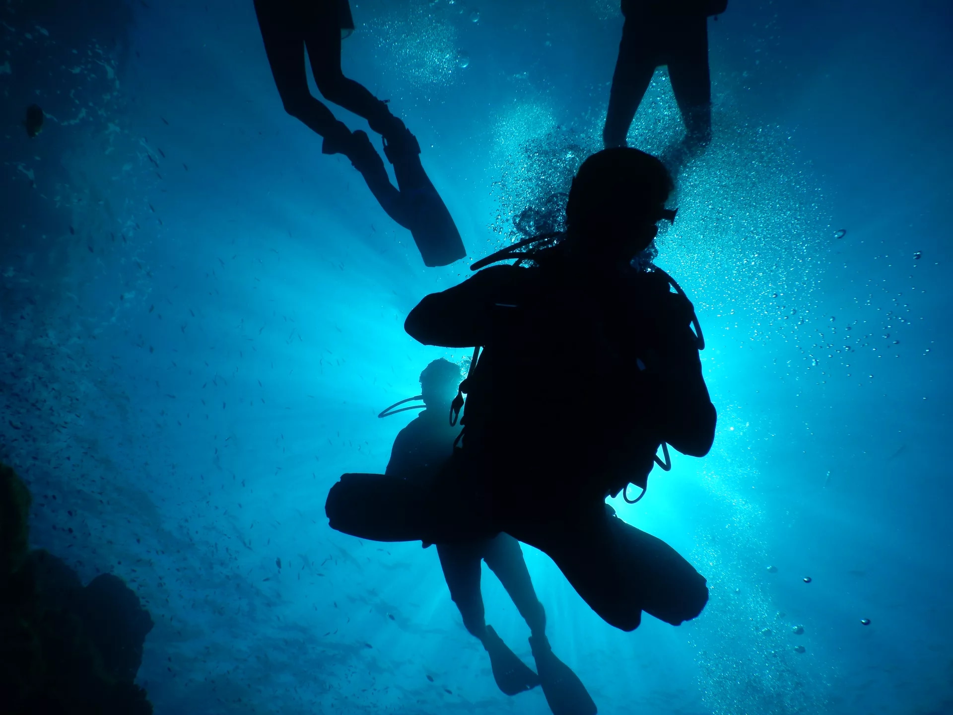 蘇梅島開放水域潛水體驗（PADI五星級潛水中心）