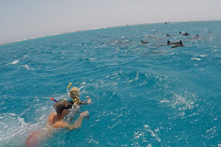 Sataya Dolphin House Boat tour with lunch 