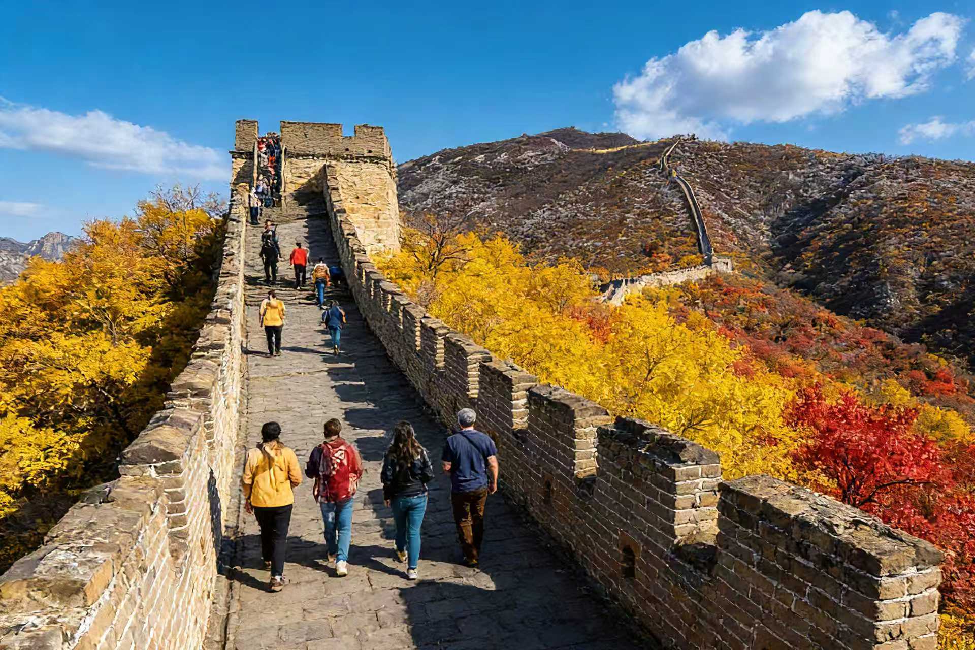 行程尾聲，導遊會按時前往火車站送您返程。這一天的旅程堪稱一場深度文化沉浸之旅。清晨踏入故宮，紅牆黃瓦間流轉著明清王朝的莊嚴氣韻；午後登臨長城，蜿蜒的城牆盤踞在崇山峻嶺之上，磚石間鐫刻著古人的智慧與堅韌。從宮廷的精緻規制到長城的雄渾氣魄，兩大世界文化遺產用各自的魅力，讓你全方位感受了北京的歷史深度與人文溫度。
導遊會將你安全送至高鐵站，之後您將自行搭乘高鐵返程，抵達天津站後，司機已在指定地點等候，全程無縫銜接，平穩將你送至下榻的飯店，為這場充實又難忘的北京一日行，畫上圓滿而愜意的句號。