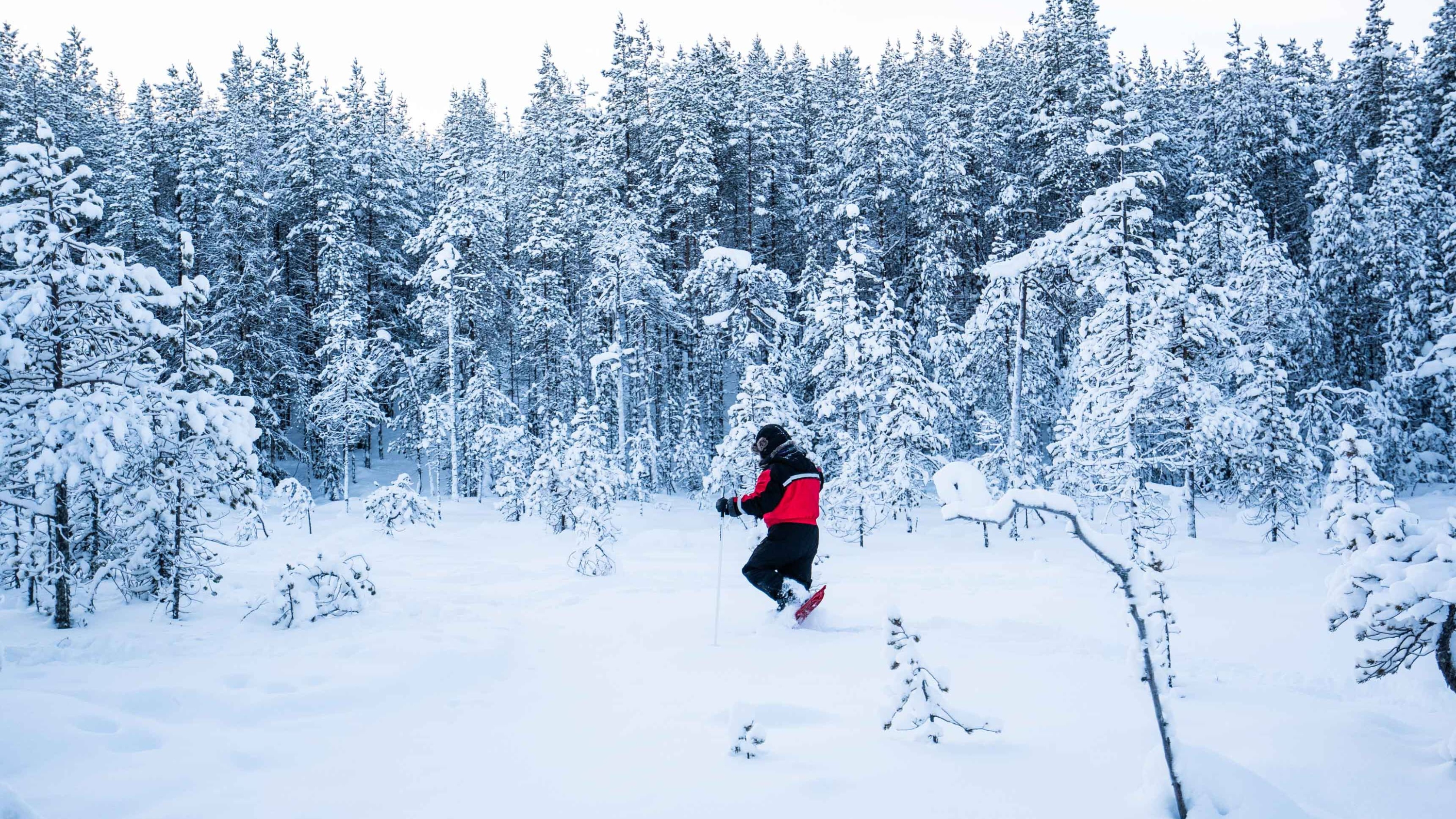 羅瓦涅米雪鞋荒野探險體驗