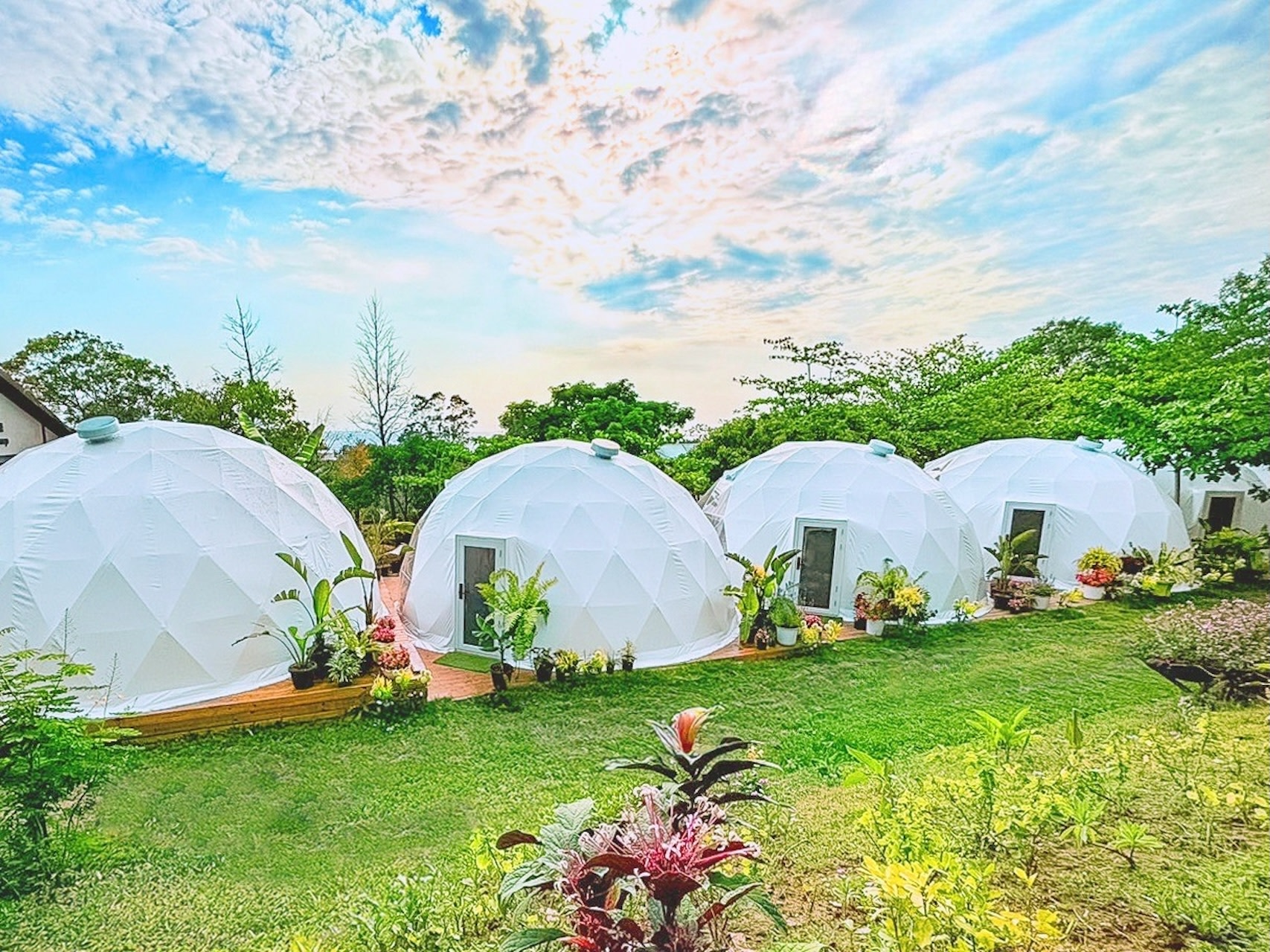 屏東露營｜阿信巧克力農場｜星空露營 (免搭帳露營體驗)