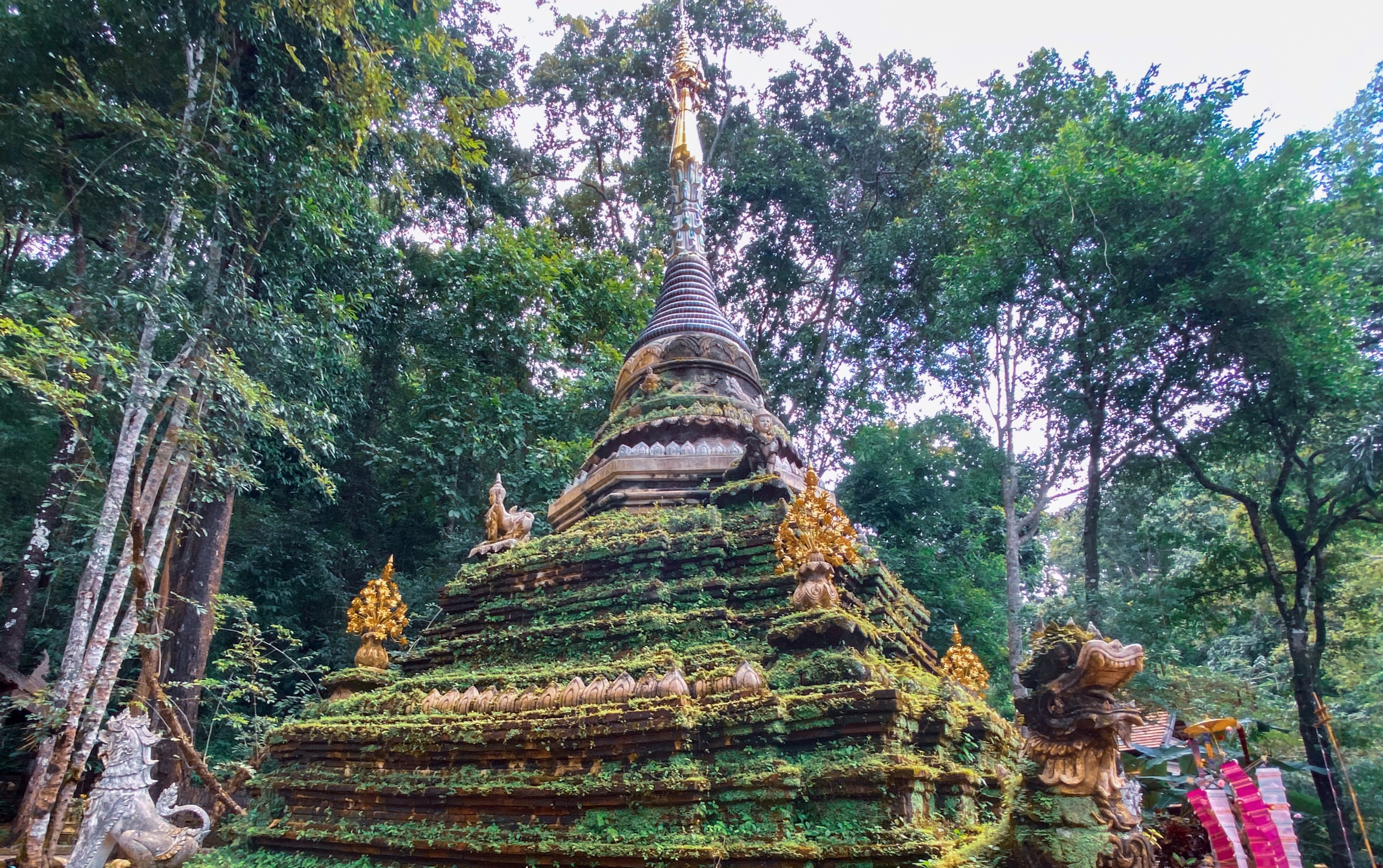 素貼山 (Doi Suthep)、帕 Lat 寺 (Wat Pha Lat) 和米其林街頭小吃之旅（Michelin Street Food Trip with Local）