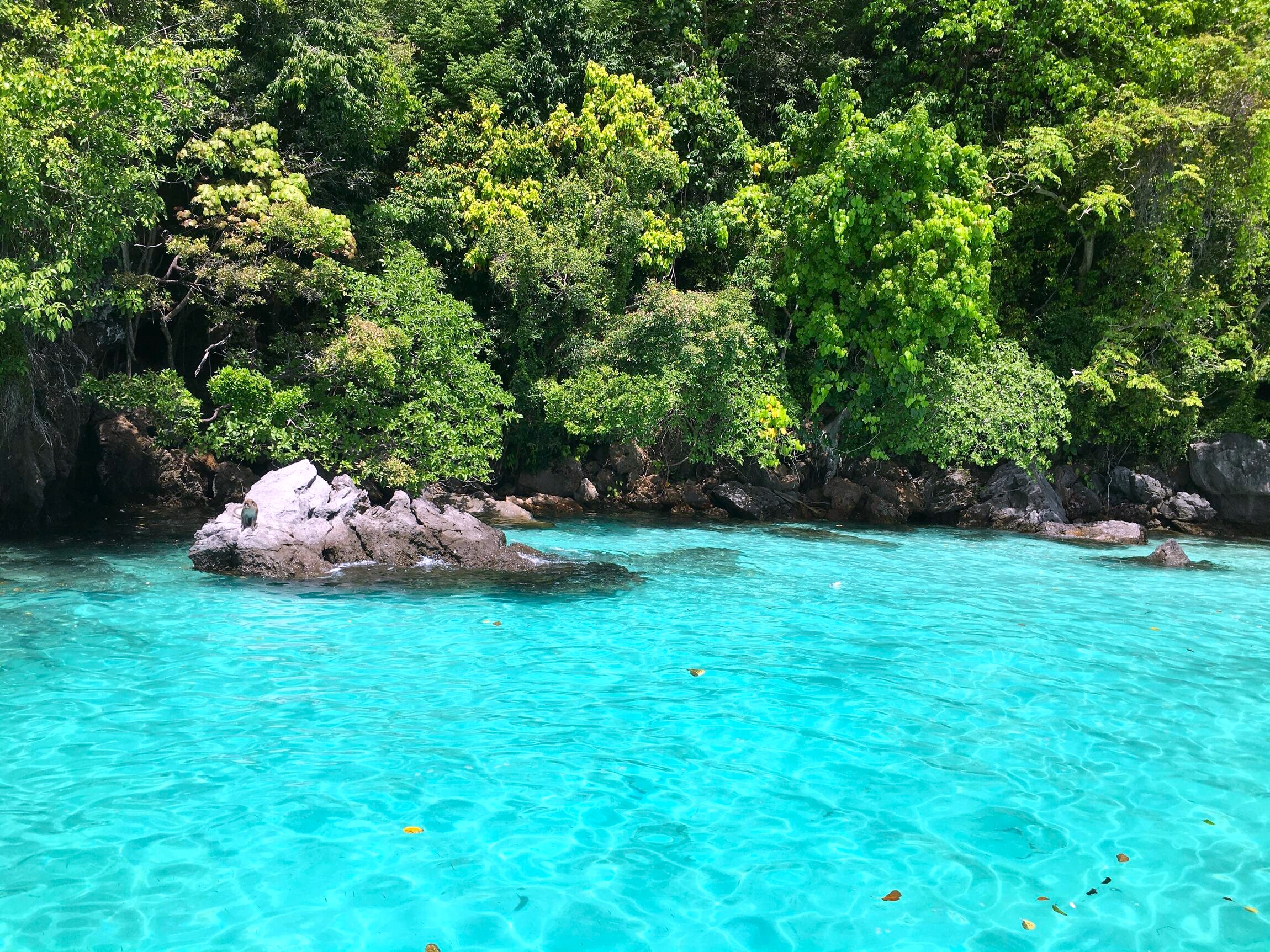 普吉島：皮皮島精華和私人海灘之旅 - 全日遊